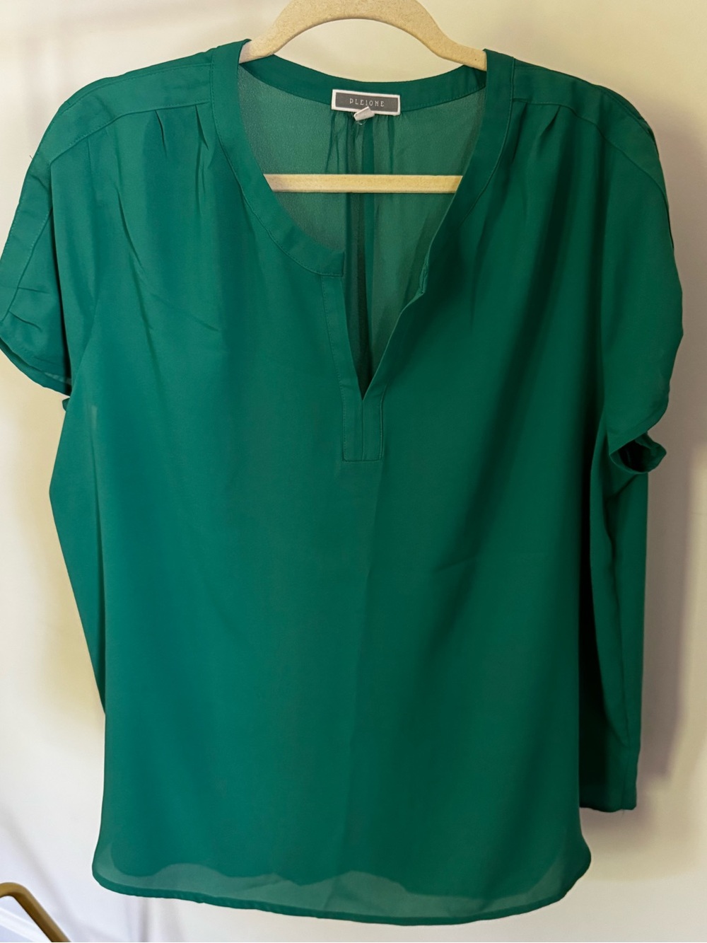 Pleione V-neck Blouse